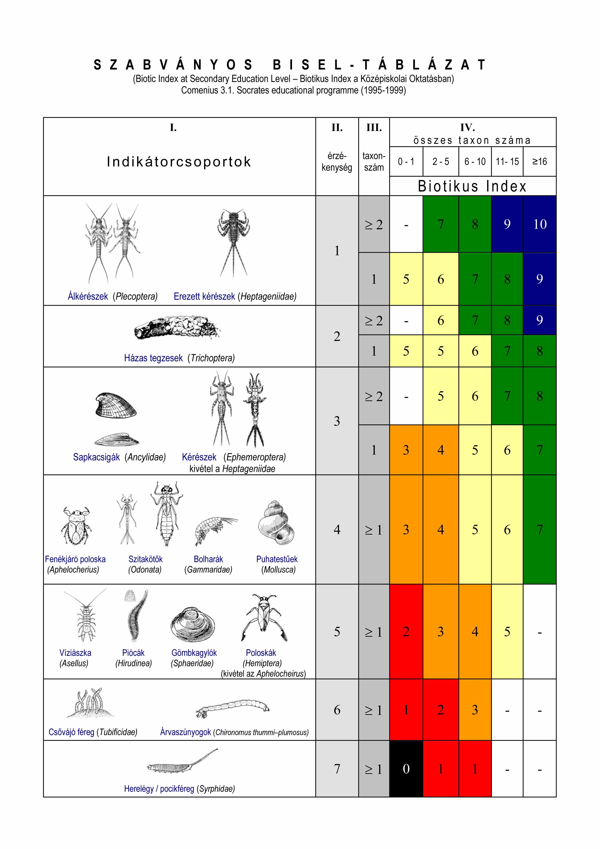 BISEL színes tábla