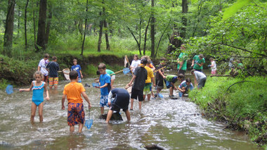 Patakvizsgálat a BISEL módszer segítségével